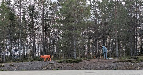 20260921_PXL111528881_Pixel7a-HMB