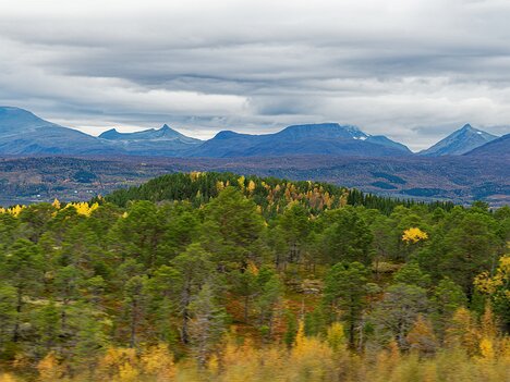 20260920_P9204696_EM1II_d-clview