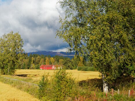 20260917_P9174465_EM1II_d-clview