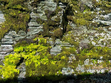 20260917_P9174466_EM1II_d-clview