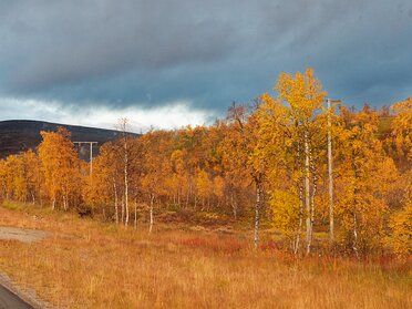Train and bus to Bodø via Mo I Rana 17 September 2026