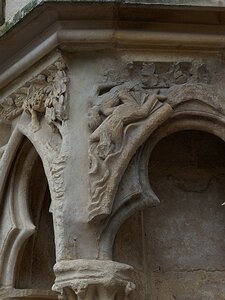 20250805_X8055332_EM1II_DxOjohn5