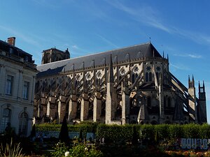 20250807_X8076030_EM1II_DxOjohn5