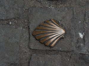 20250805_X8055334_EM1II_DxOjohn5