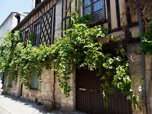 20250805_X8055452_EM1II_DxOjohn5