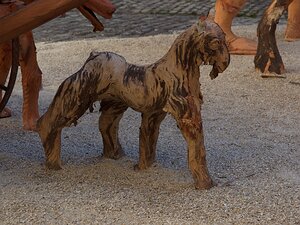 20250807_X8075684_EM1II_DxOjohn5