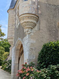 20250806_PXL111328501_Pixel7a-JEB