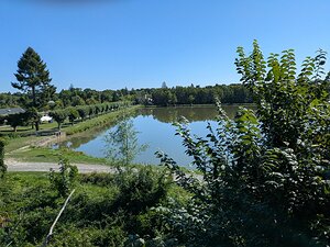 20250808_PXL090855676_Pixel7a-JEB