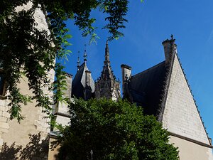 20250807_X8075636_EM1II_DxOjohn5