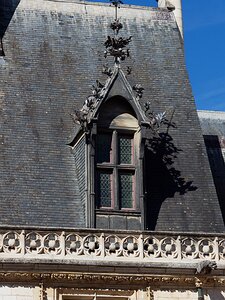 20250807_X8075639_EM1II_DxOjohn5