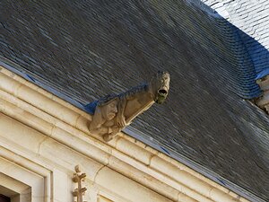 20250807_X8075657_EM1II_DxOjohn5