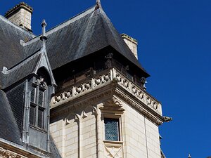 20250807_X8075659_EM1II_DxOjohn5