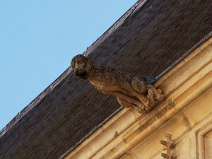 20250807_X8075663_EM1II_DxOjohn5