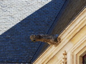 20250807_X8075664_EM1II_DxOjohn5