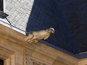 20250807_X8075669_EM1II_DxOjohn5