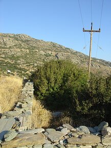 20070812_DSC03021_DSCV1