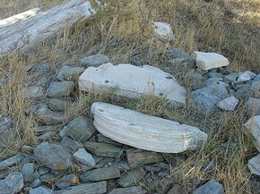 20070812_DSC03022_DSCV1