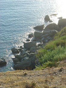 20070812_DSC03029_DSCV1