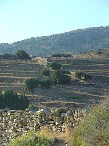 20070812_DSC03035_DSCV1