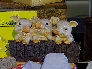 20251109_XB096283_EM1II_DxOHDRReal