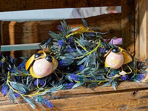 20251109_XB096287_EM1II_DxOHDRReal