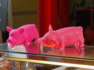 20251109_XB096291_EM1II_DxOHDRReal