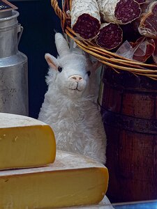 20251109_XB096296_EM1II_DxOHDRReal