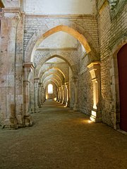 20230929_X9298094_EM1II_DxO-hdrp