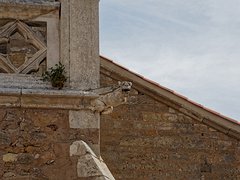 20230927_X9277912_EM1II_DxO-hdrp