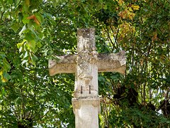 20230927_X9277920_EM1II_DxO-hdrp