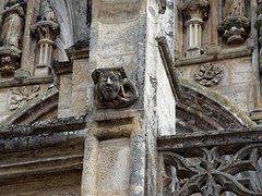 20230928_X9288029_EM1II_DxO-hdrp