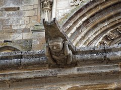 20230928_X9288030_EM1II_DxO-hdrp