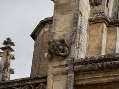 20230928_X9288031_EM1II_DxO-hdrp