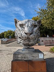 20230927_PXL112009815_Pixel7a-JEB