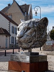 20230927_X9277922_EM1II_DxO-hdrp