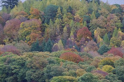 20161106_IMGP3085_KX