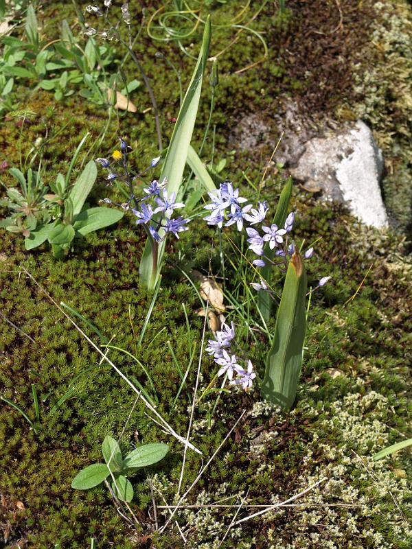 20100425_P4258002_E510.JPG - Citânia de Briteiros, near Guimarães, Portugal