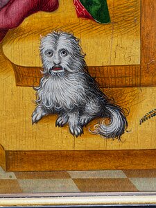 20251113_PB136929_EM1II_DxOHDRReal