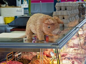 20251113_PB136702_EM1II_DxOHDRReal