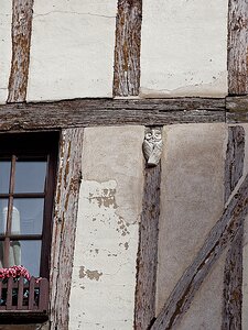 20251113_PB136779_EM1II_DxOHDRReal