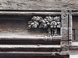 20251113_PB136787_EM1II_DxOHDRReal