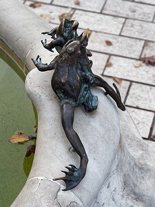 20251113_PB137024_EM1II_DxOHDRReal