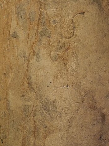20260610_P6102185_EM1II