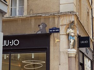 20250717_X7175152_EM1II_DxOstd