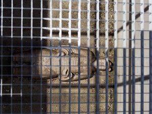 20250717_X7175205_EM1II_DxOstd