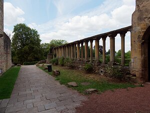 20250717_X7175161_EM1II_DxOstd