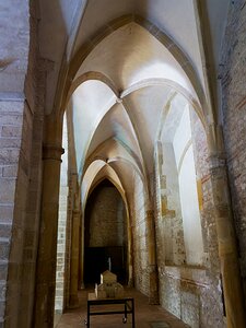 20250717_X7175165_EM1II_DxOstd