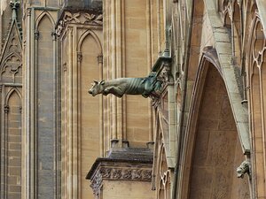 20250717_X7175094_EM1II_DxOstd