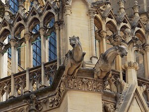 20250717_X7175095_EM1II_DxOstd