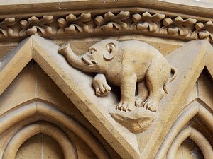 20250717_X7175147_EM1II_DxOstd